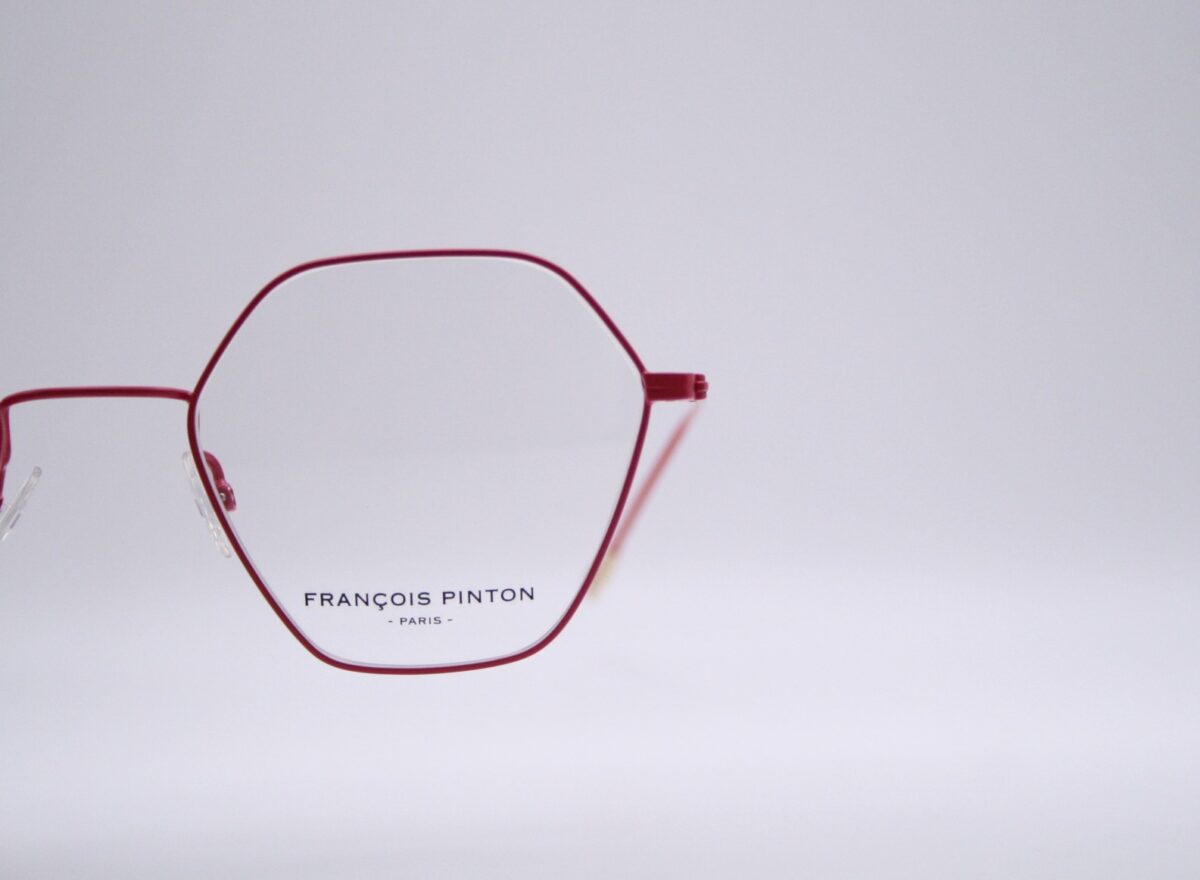 FRANCOIS PINTON AIR 9 - immagine 2